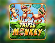 Triple Monkey PT