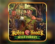 Robin Hood`s Wild Forest